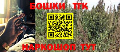 прущие грибы Белореченск