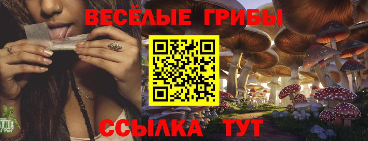 Псилоцибиновые грибы Magic Shrooms Выборг